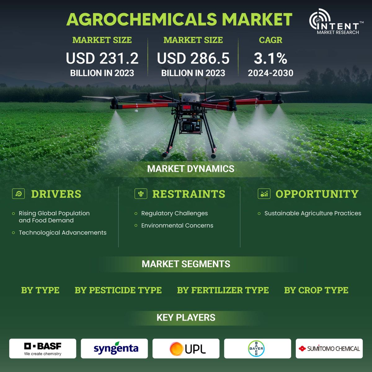Agrochemicals Market Size, Share, Leading Companies - Infographics