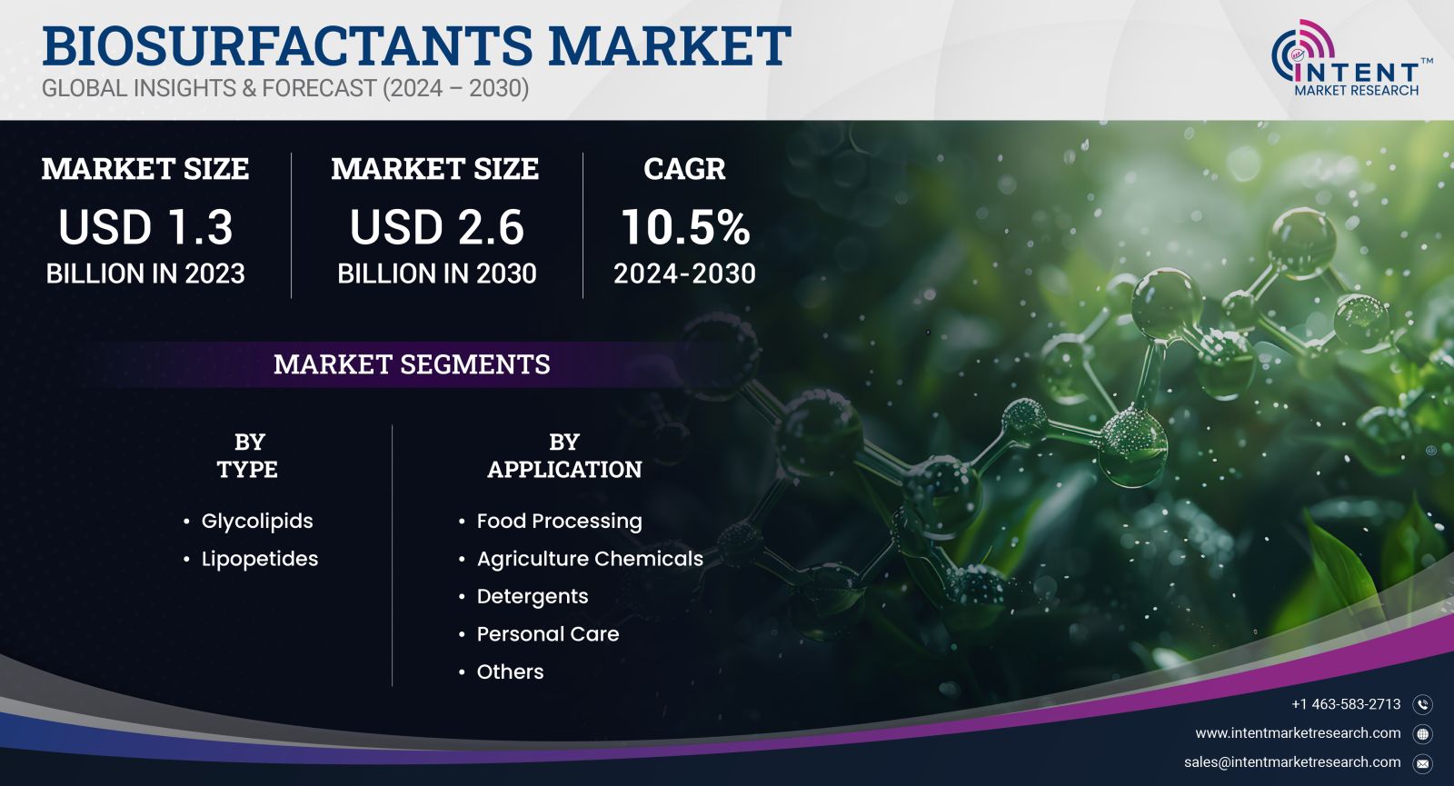 Biosurfactants Market 