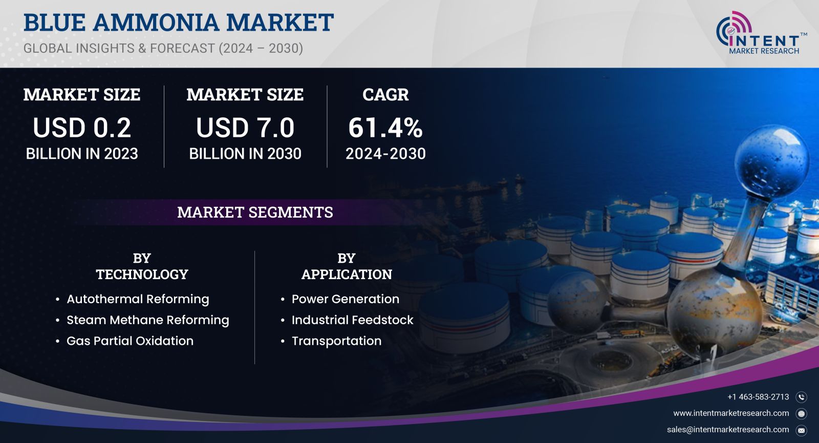 Blue Ammonia Market