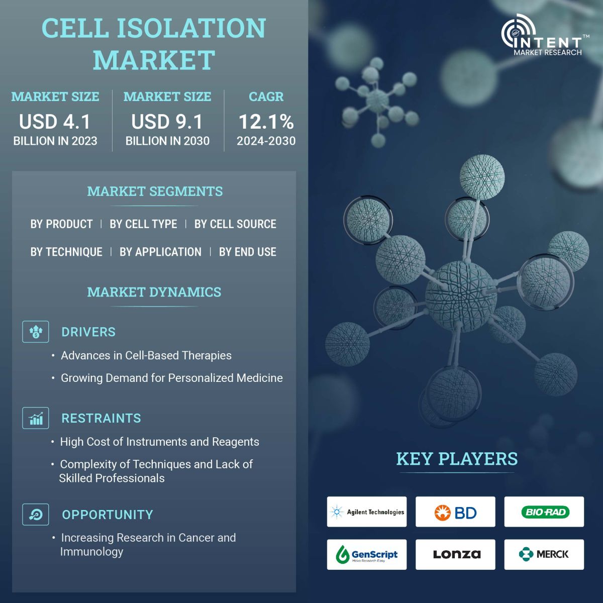 Cell Isolation Market Size, Share, Leading Companies - Infographics