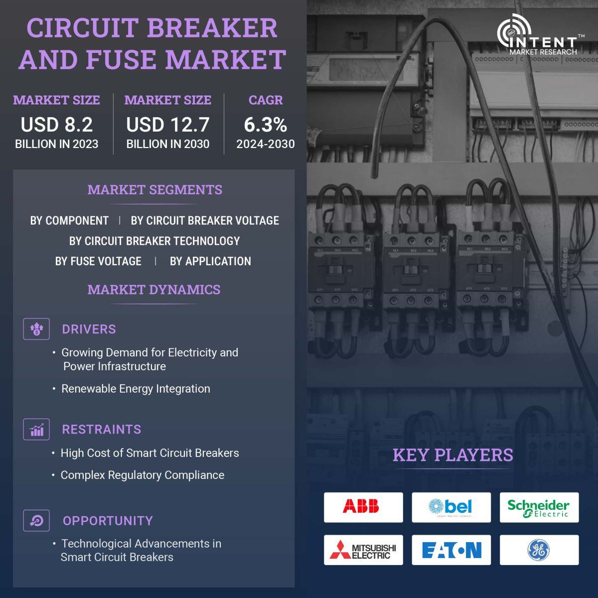 Circuit Breaker and Fuse Market Size, Share, Leading Companies - Infographics