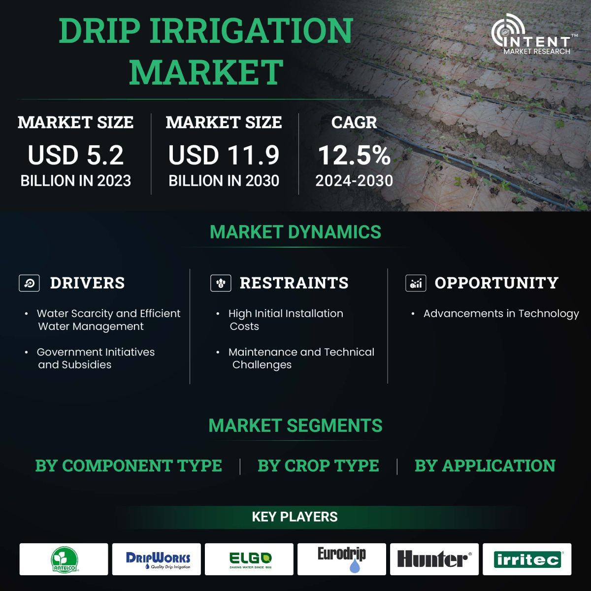 Drip Irrigation Market Size, Share, Leading Companies - Infographics