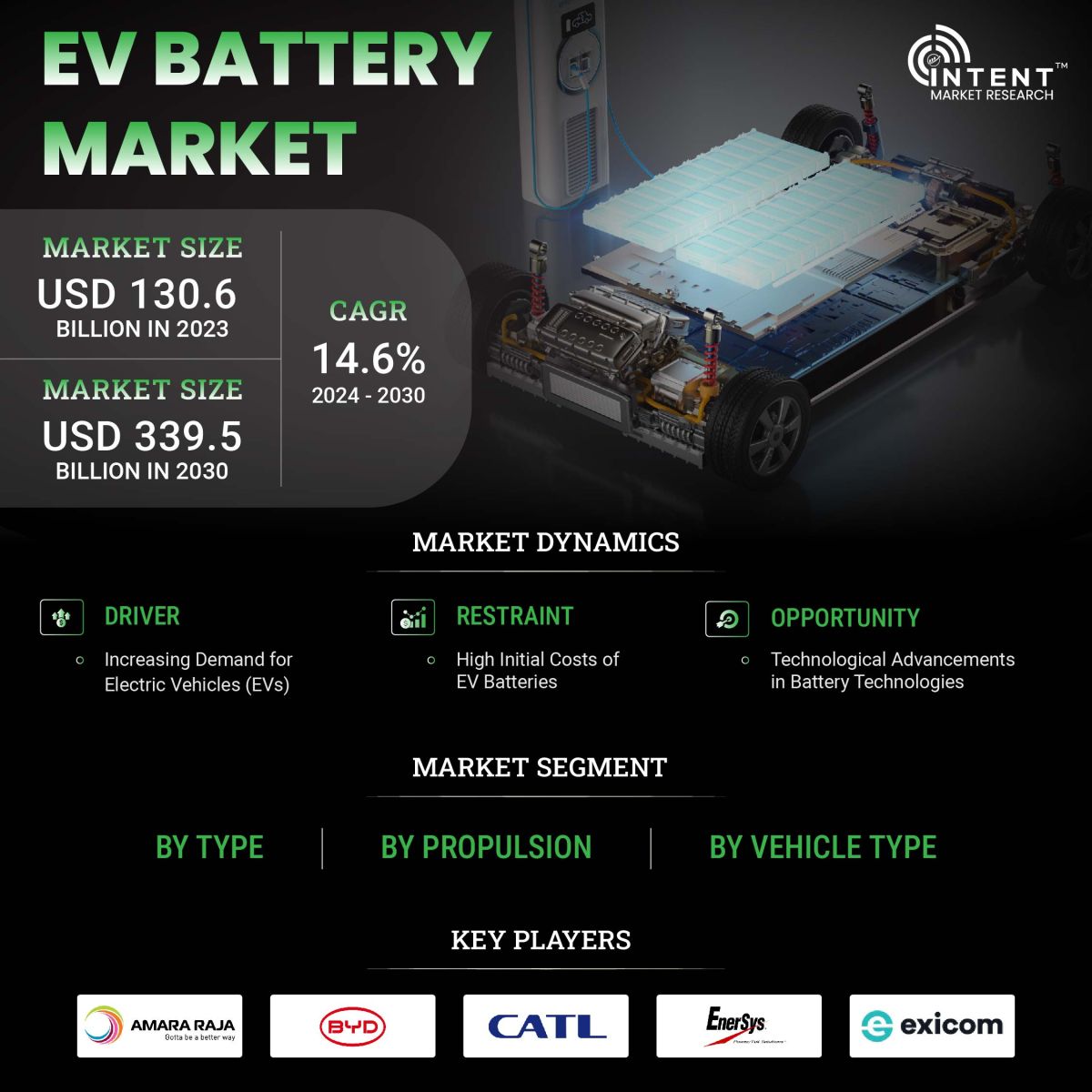 EV Battery Market Size, Share and Leading Companies - Infographics