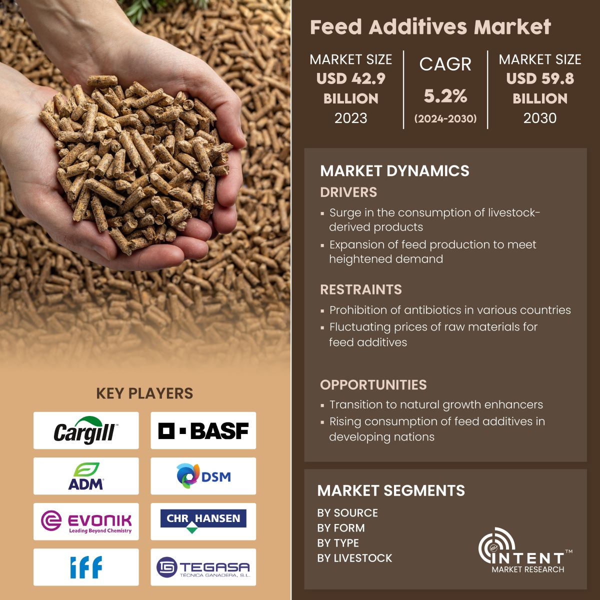 Feed Additives Market Infographics