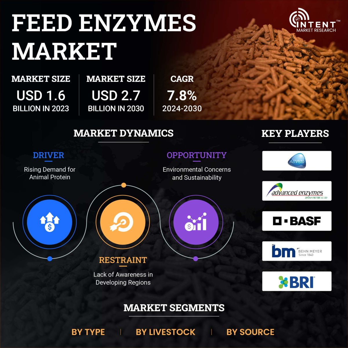 Feed Enzymes Market Size, Share, Leading Companies - Infographics