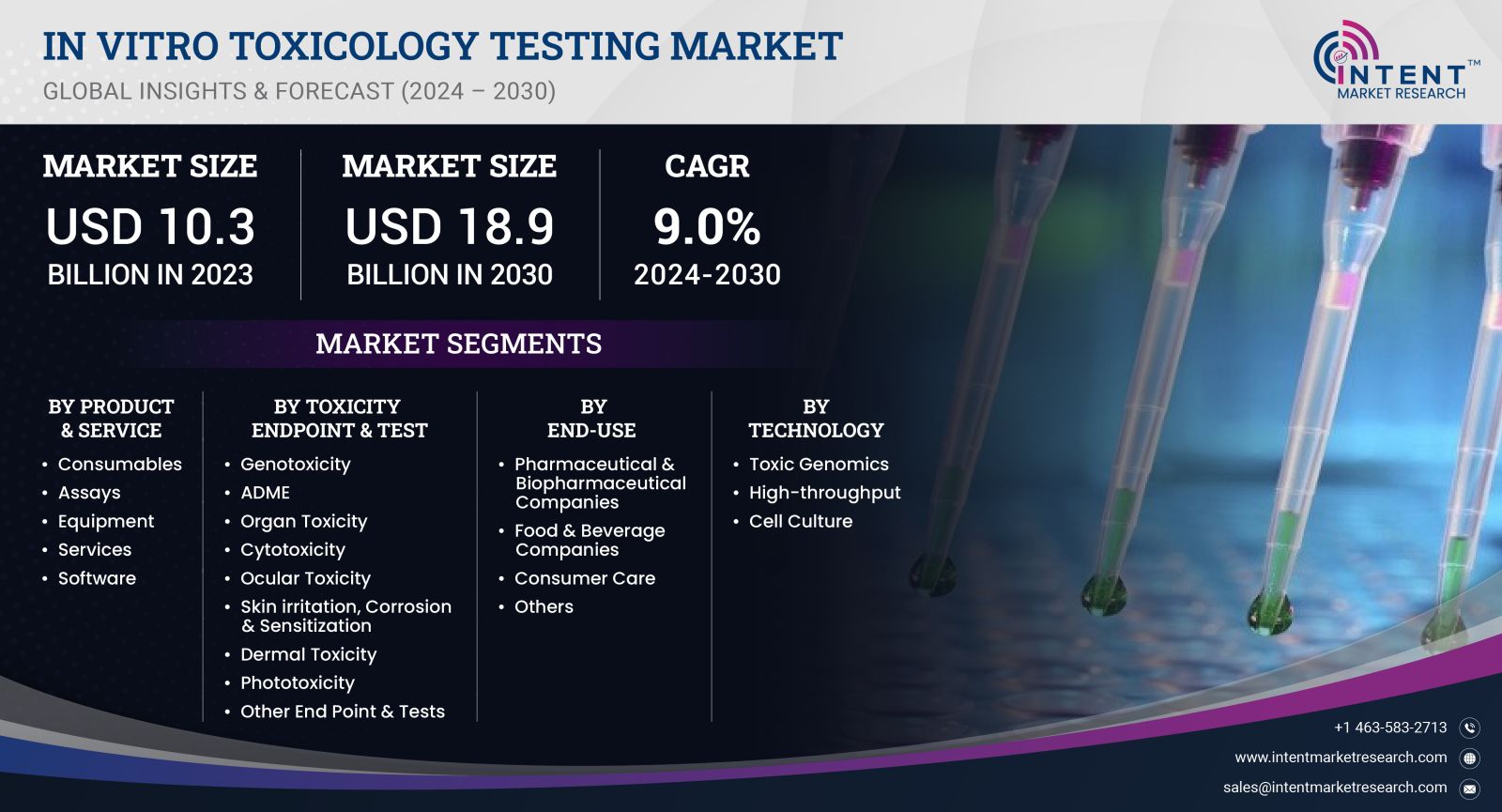 In Vitro Toxicology Testing Market 