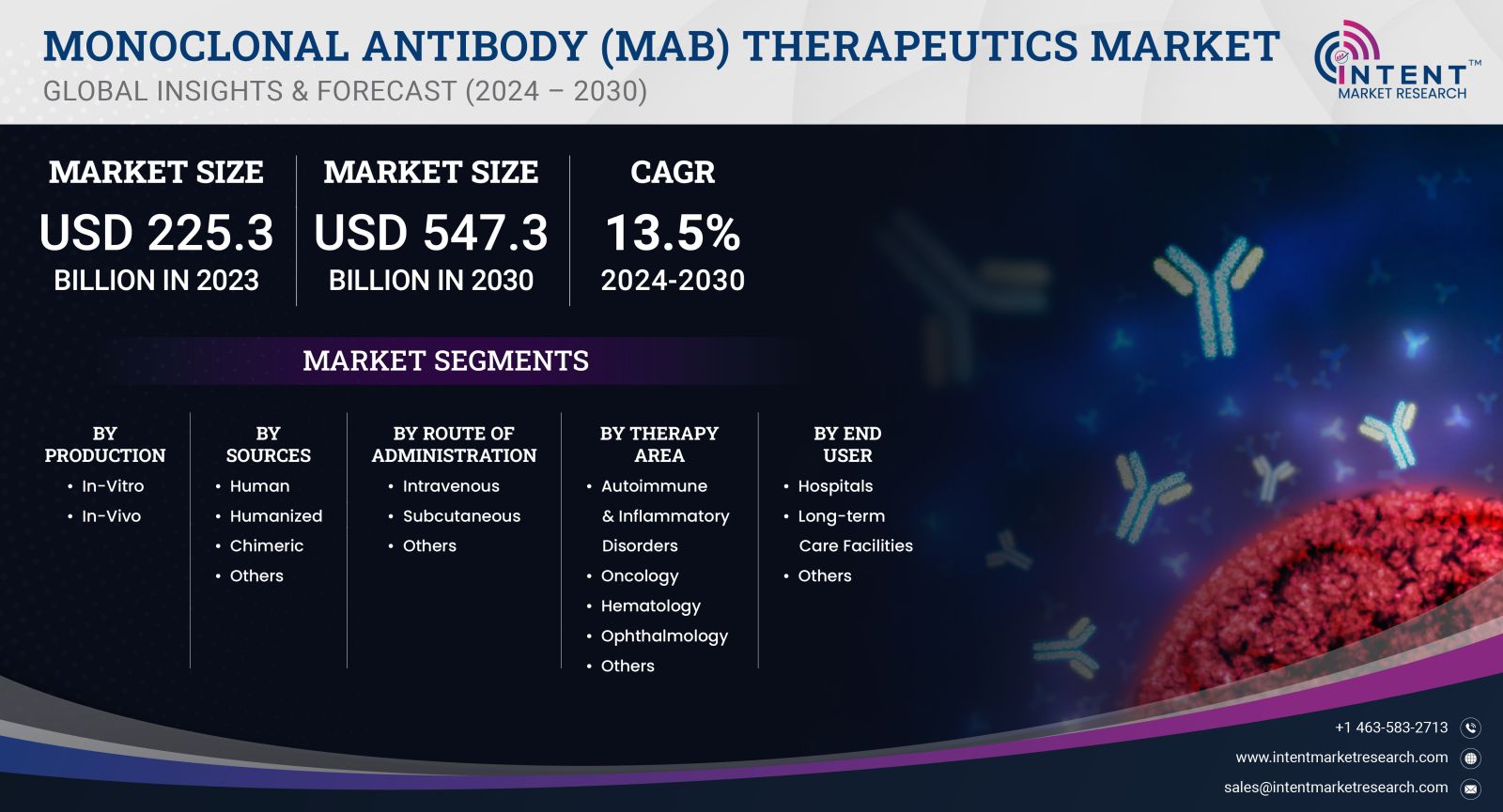 Monoclonal Antibody (mAB) Therapeutics Market Size 2030