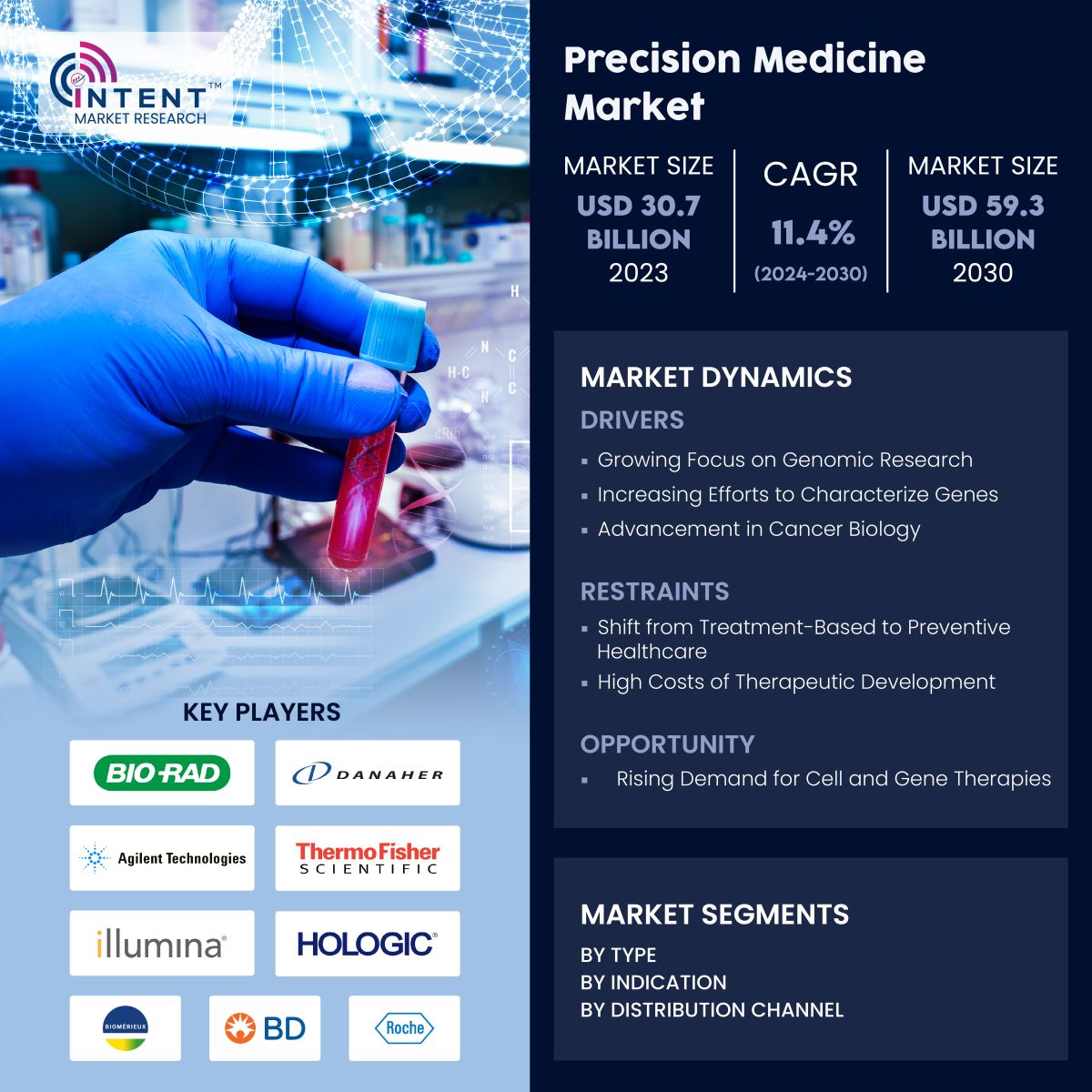 Precision Medicine Market Infographics