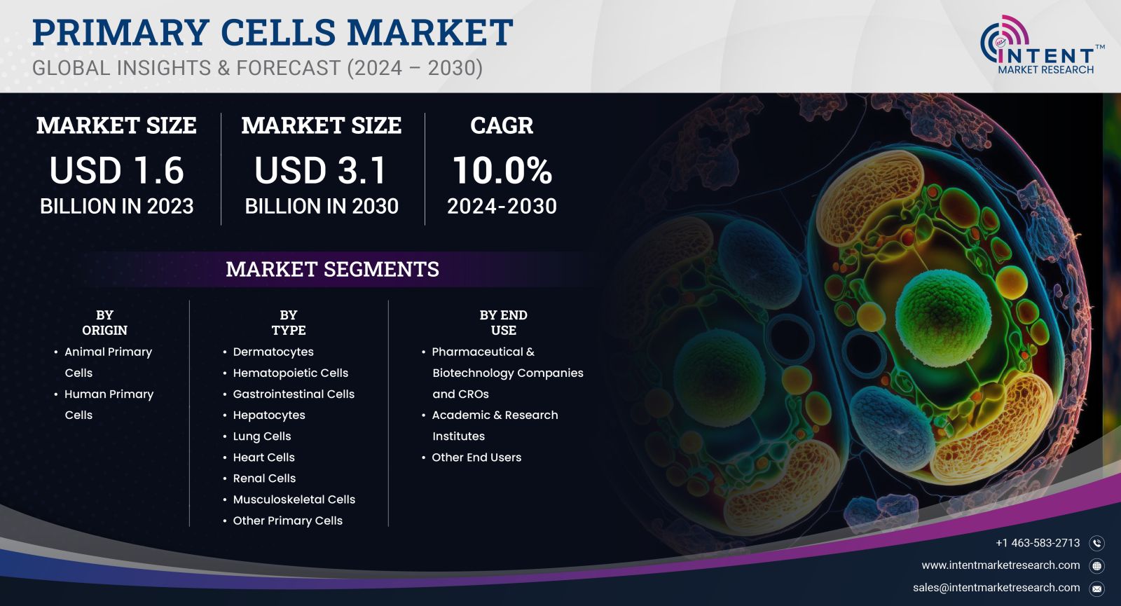 Primary Cells Market size 