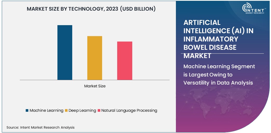 Artificial Intelligence (AI) In Inflammatory Bowel Disease Market Size 