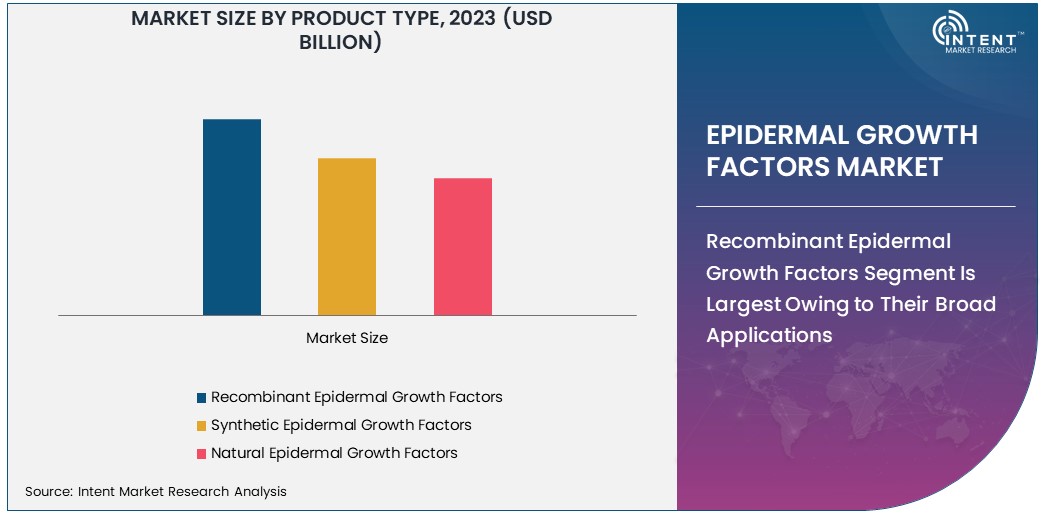 Epidermal Growth Factors Market Size 