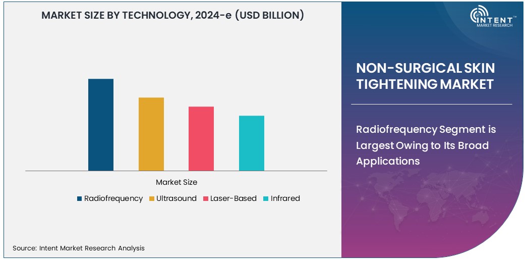 Non-Surgical Skin Tightening Market Size 