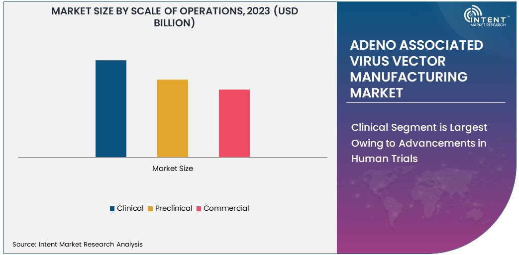 Adeno Associated Virus Vector Manufacturing Market Size