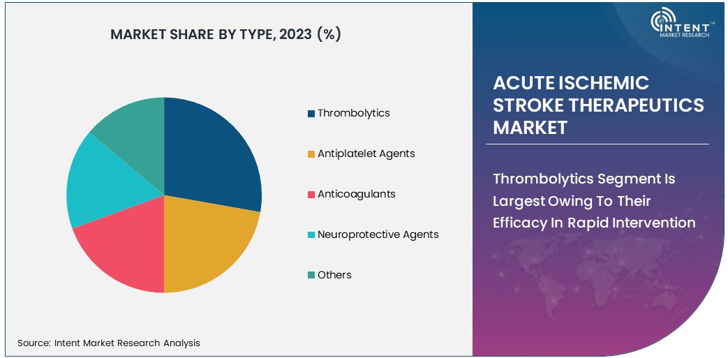 Acute Ischemic Stroke Therapeutics Market  Size 