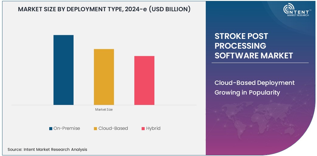 Stroke Post Processing Software Market Size 
