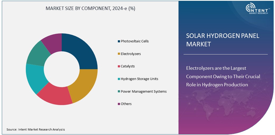 Solar Hydrogen Panel Market Size