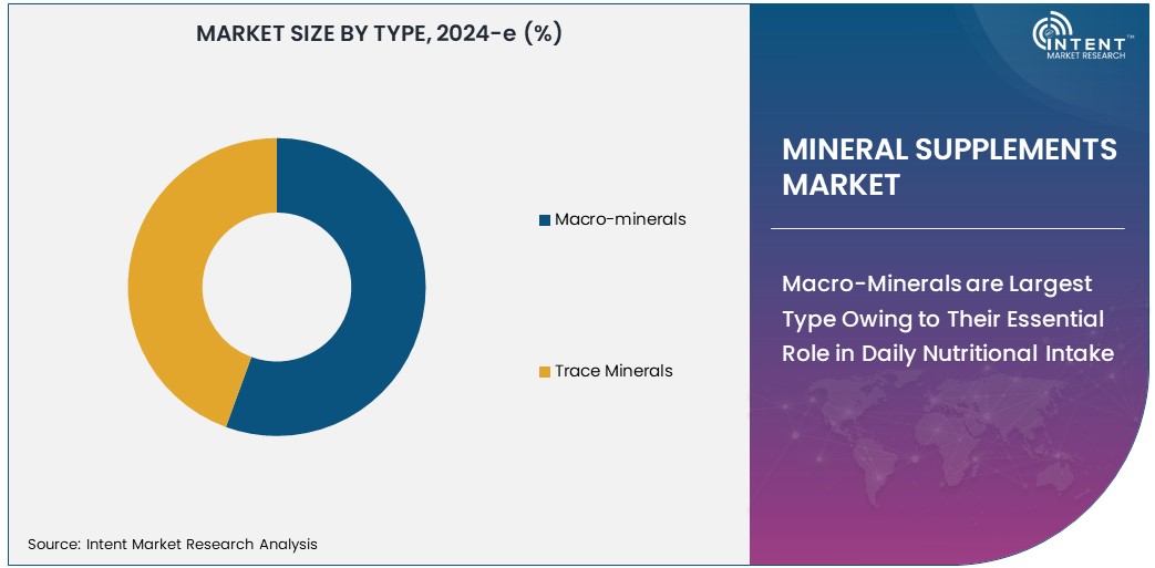 Mineral Supplements Market  Size