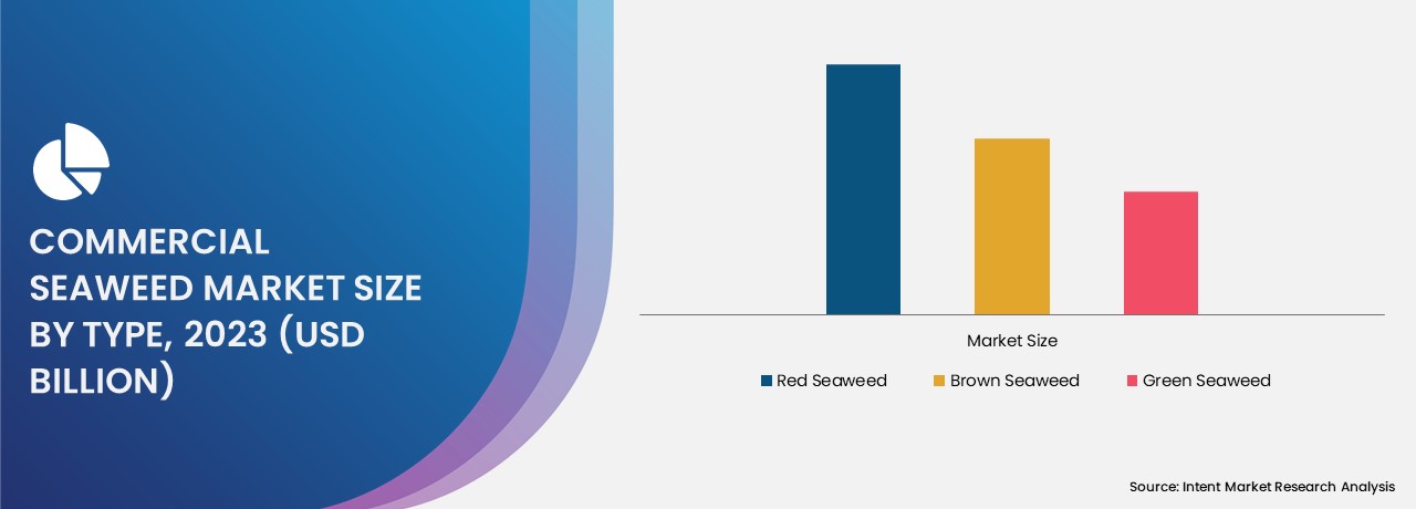 Commercial Seaweed Market size 