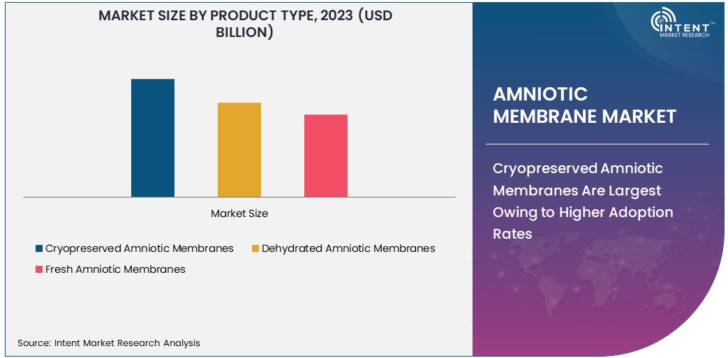 Amniotic Membrane Market Size 