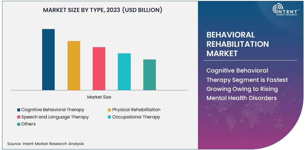 Behavioral Rehabilitation Market Size