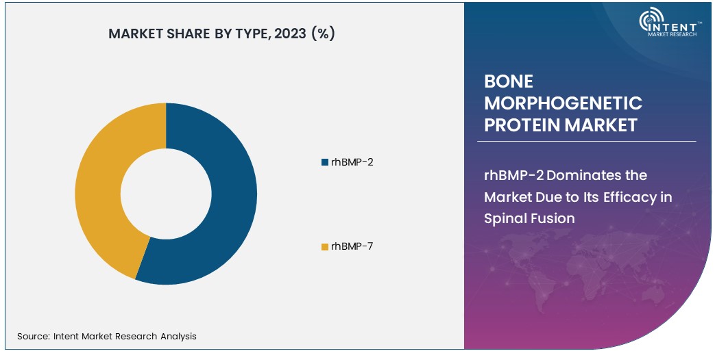 Bone Morphogenetic Protein Market Size