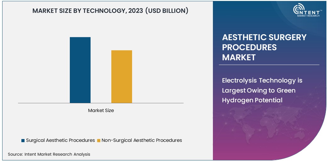 Aesthetic Surgery Procedures Market Size