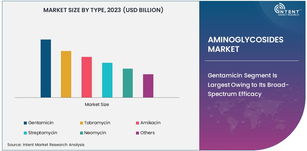 Aminoglycosides Market size 