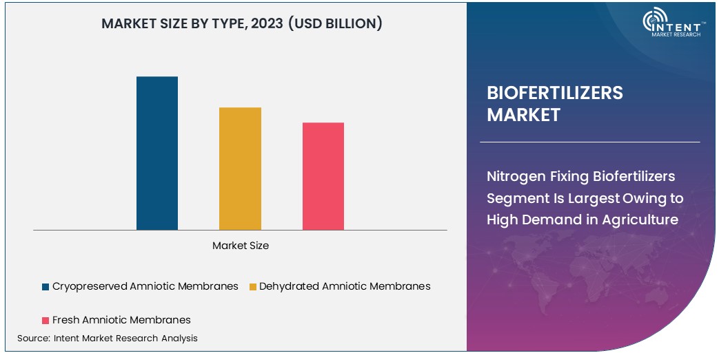 Biofertilizers Market size 