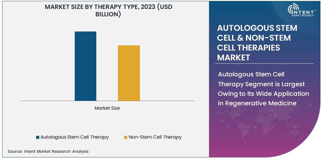 Autologous Stem Cell & Non-Stem Cell Therapies Market size 