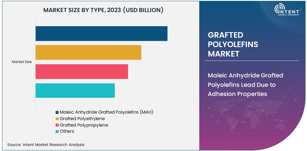 Grafted Polyolefins Market Size 