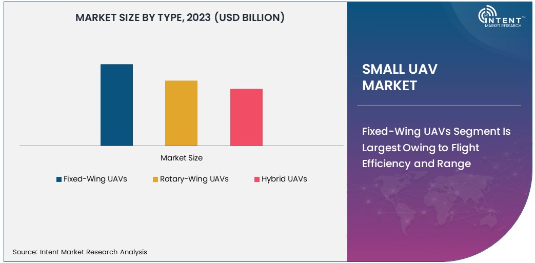 Small UAV Market By Type 