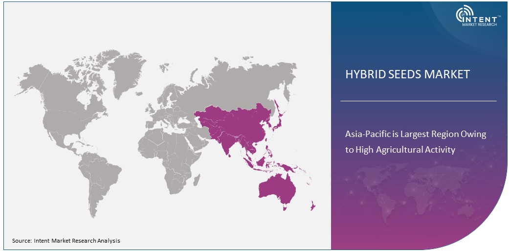  Hybrid Seeds Market Size by Region 2030