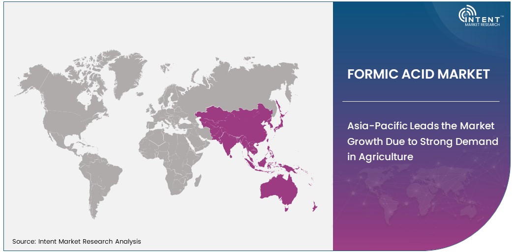 Formic Acid Market  Size by Region 2030