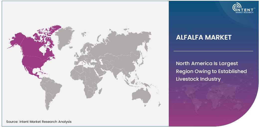 Alfalfa Market Size by Region 2030