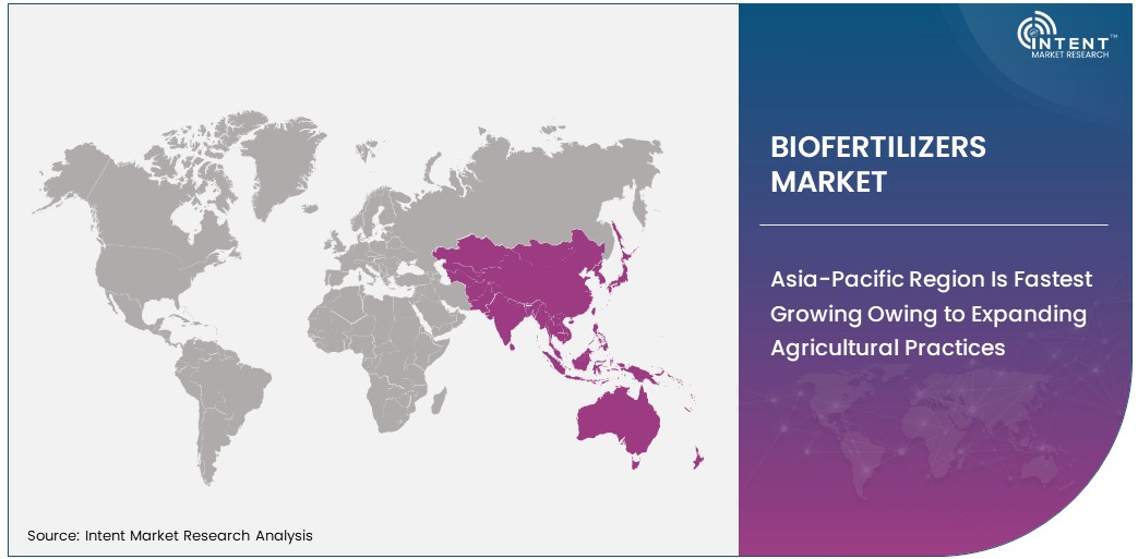 Biofertilizers Market share by region 