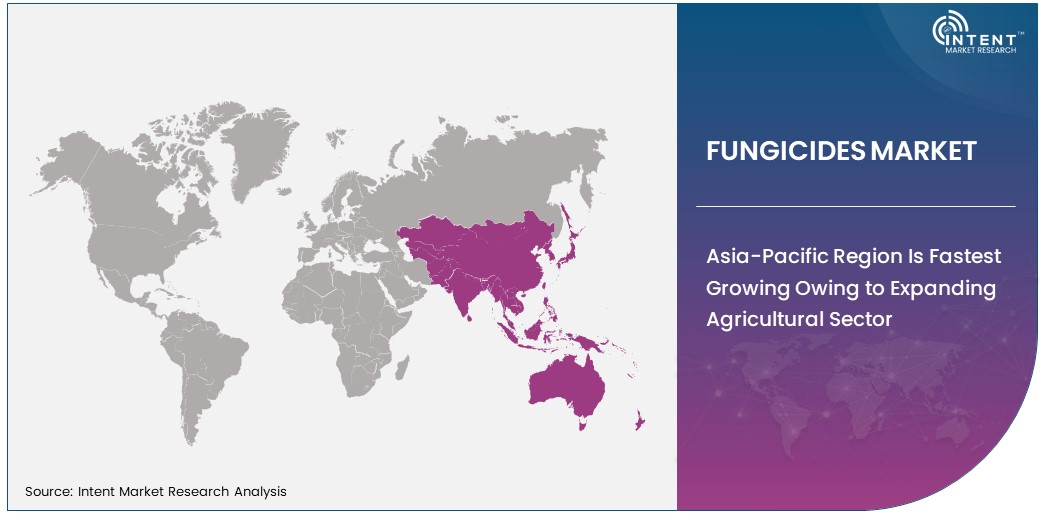 Fungicides Market Size by Region 2030