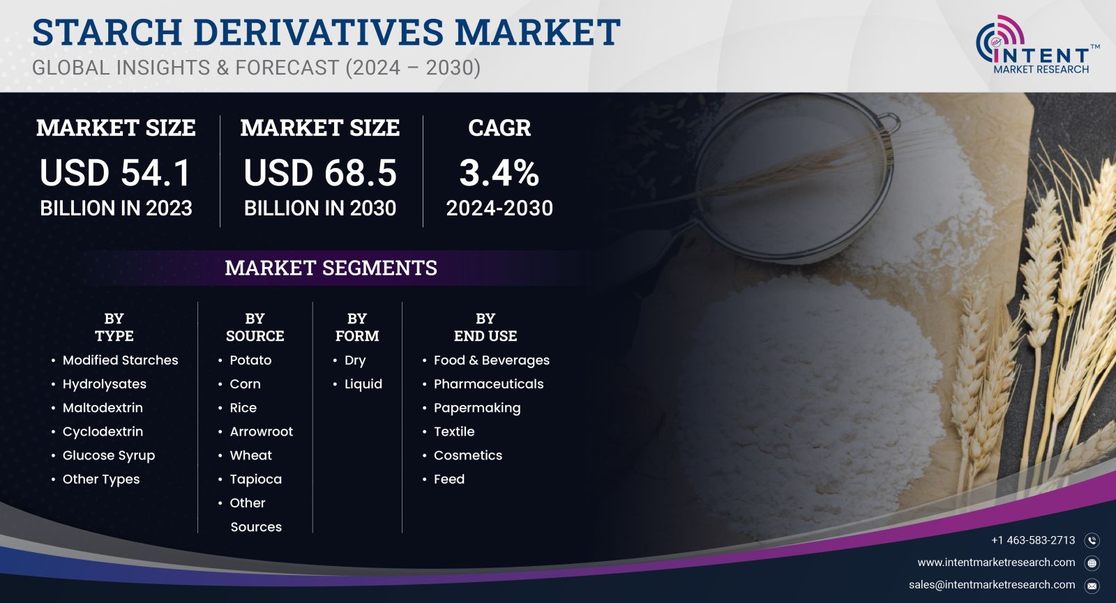 Starch Derivatives Market size 