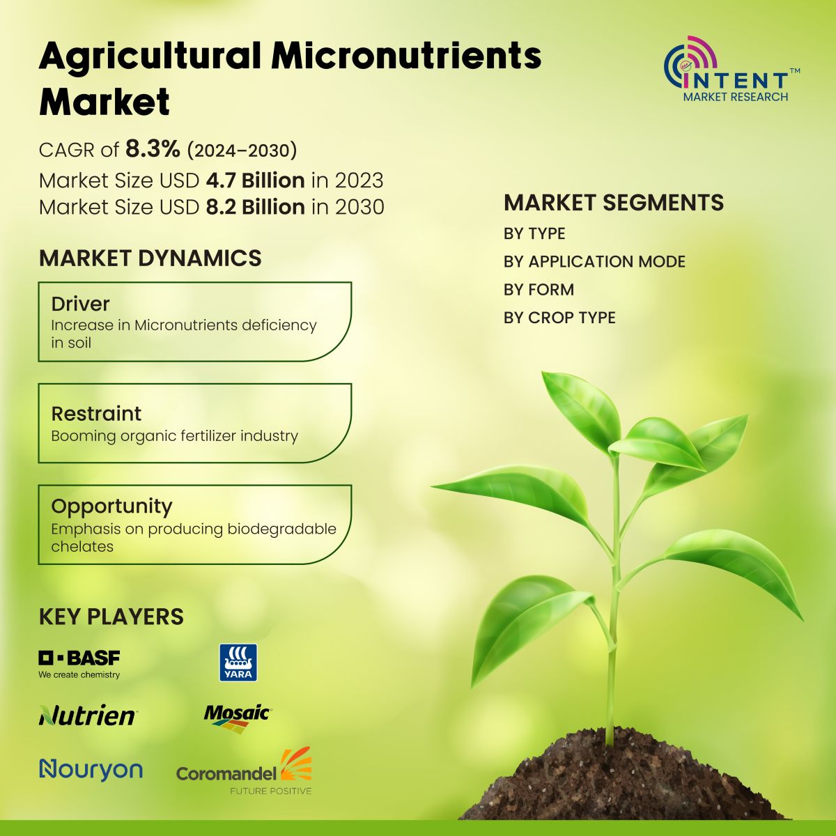 Agricultural Micronutrients Market Infographics