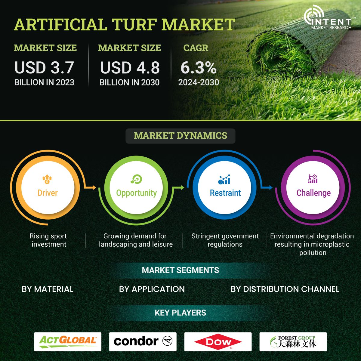 Artificial Turf Market Infographics