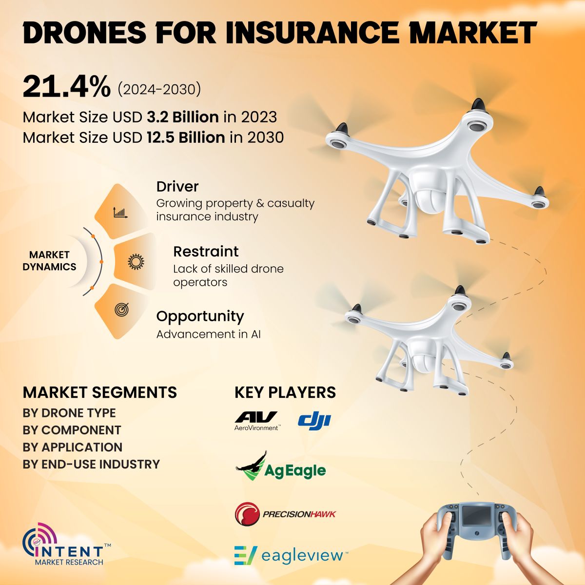 Drones for Insurance Market Infographics