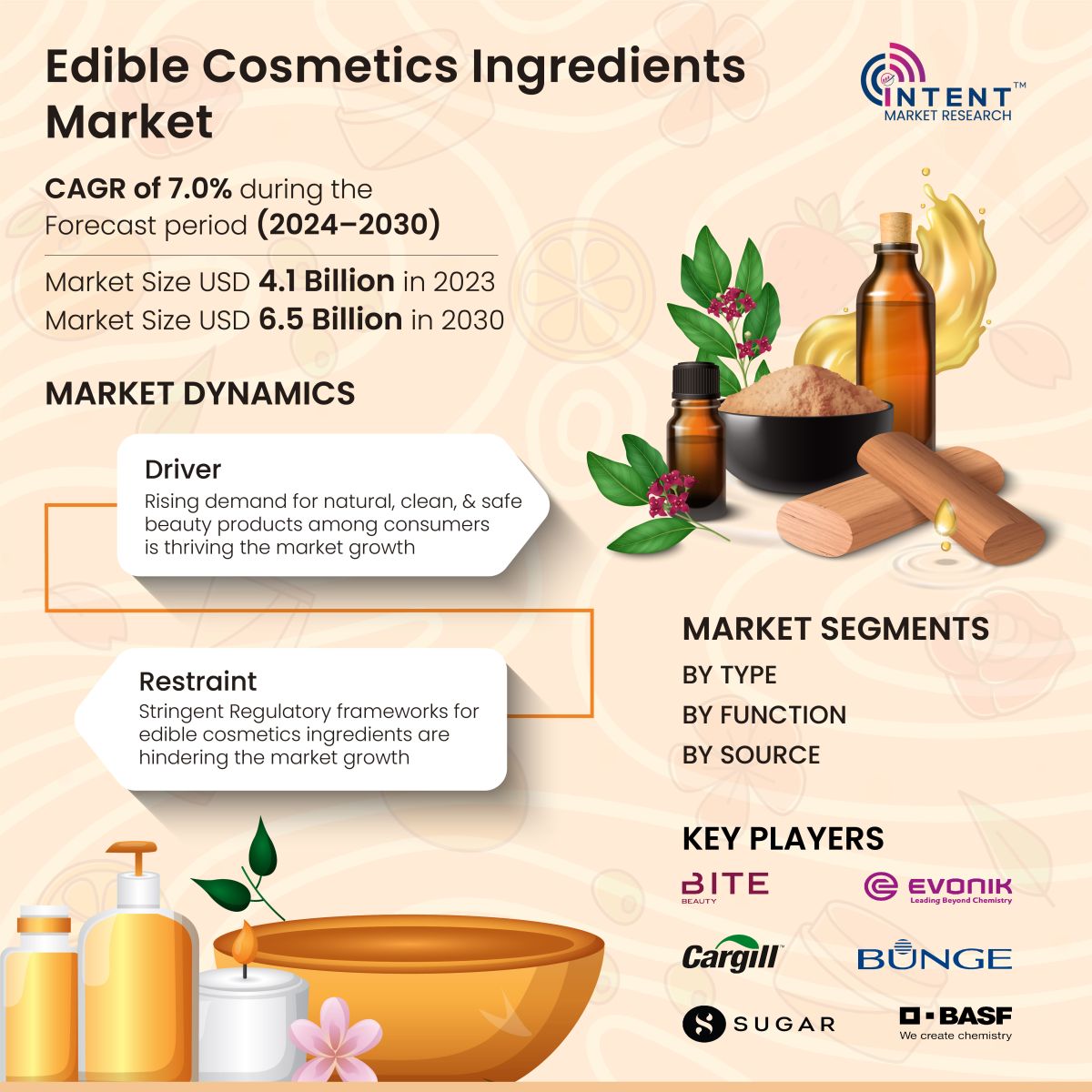 Edible Cosmetics Ingredients Market Infoghraphics