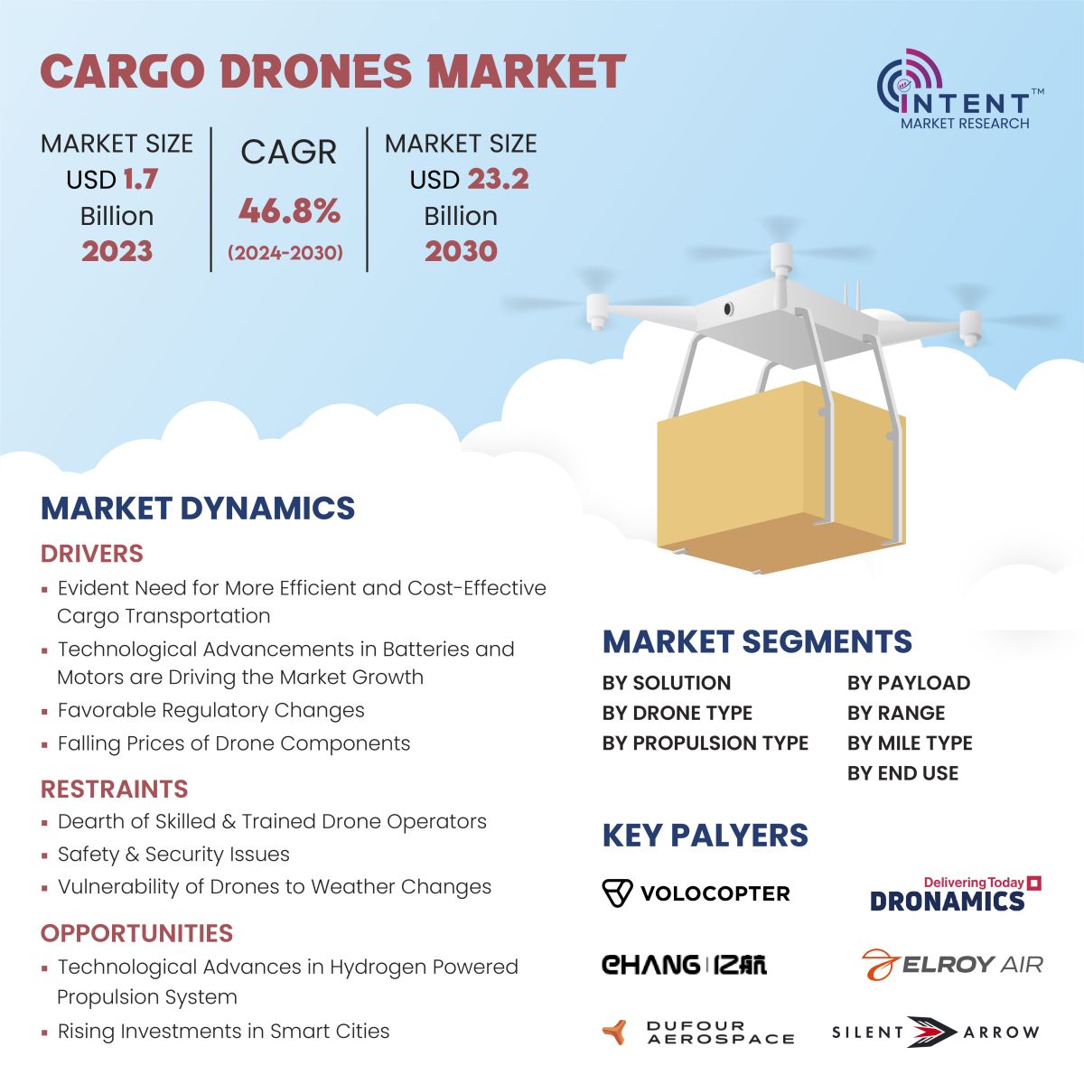 Cargo Drones Market Infographics